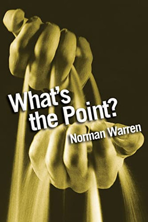 What's the Point?: Finding answers to life's questions by Norman Warren 9780745941332 [USED COPY]