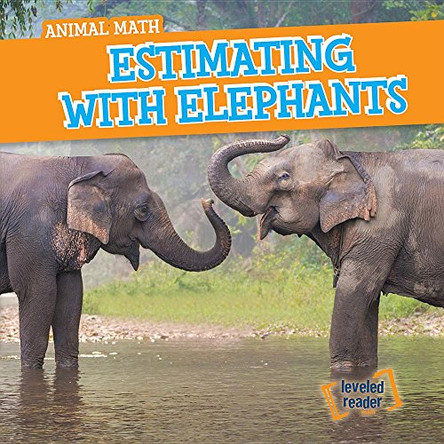 Estimating with Elephants by Rory McDonnell 9781538208489