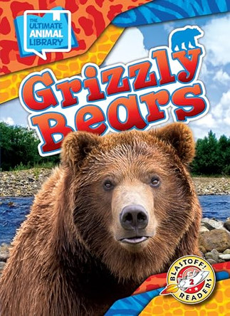 Grizzly Bears by Chris Bowman 9798886879704