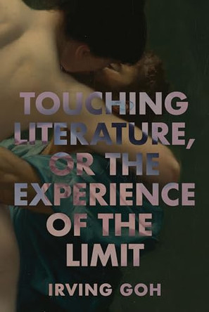 Touching Literature, or the Experience of the Limit by Irving Goh 9781501787997
