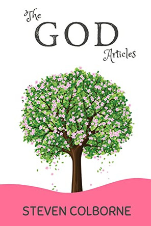 The God Articles by Steven Colborne 9781916201569