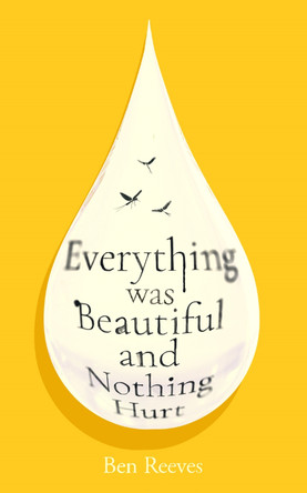 Everything was Beautiful and Nothing Hurt by Ben Reeves 9781805465799
