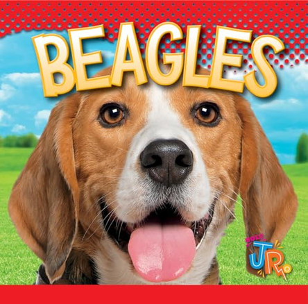 Beagles by Marysa Storm 9781623104665