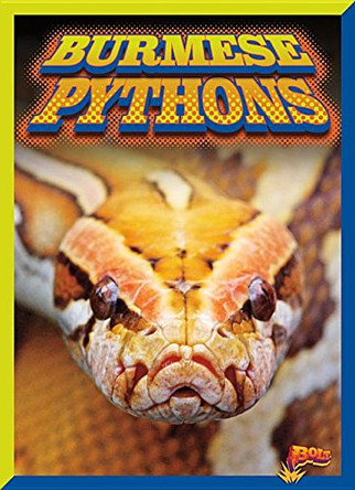 Burmese Pythons by Barbara Ciletti 9781680720174