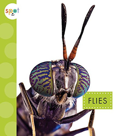 Flies by Nessa Black 9781681511085