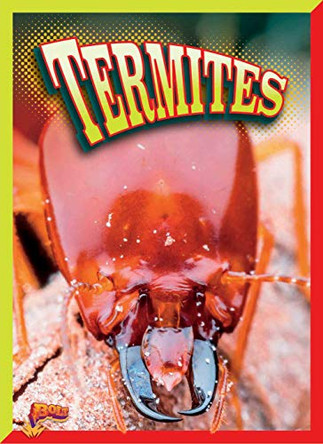 Termites by Lyn A Sirota 9781644660256