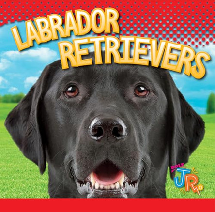 Labrador Retrievers by Marysa Storm 9781644664568
