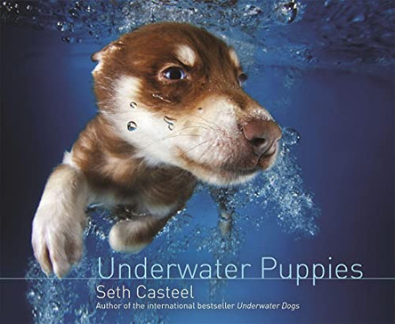 Underwater Puppies by Seth Casteel 9781472209405 [USED COPY]