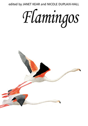 Flamingos by Janet Kear 9781408137505