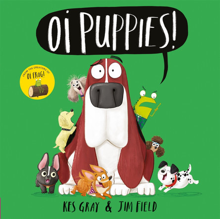 Oi Puppies! by Kes Gray 9781444937350 [USED COPY]
