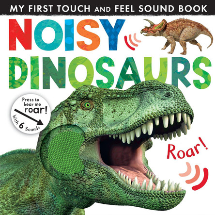 Noisy Dinosaurs by Jonathan Litton 9781848691650 [USED COPY]