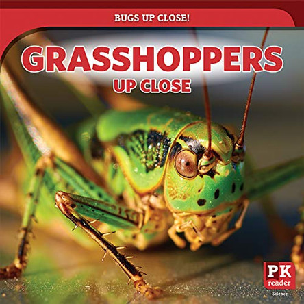 Grasshoppers Up Close by Rachael Morlock 9781725307902