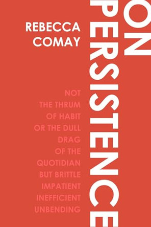 On Persistence by Rebecca Comay 9781803096360