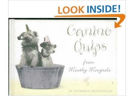 Canine Quips by Susanna Geoghegan 9781903938423 [USED COPY]
