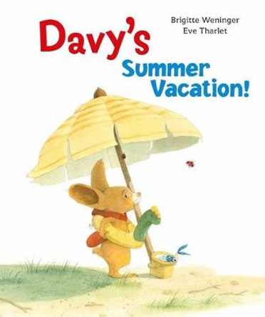 Davy's Summer Vacation by Brigitte Weniger