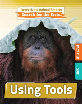 Using Tools by Anne O'Daly 9781835720288