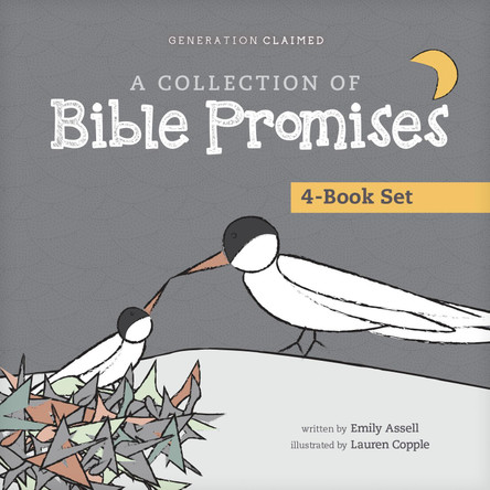 A Collection of Bible Promises 4-Book Set: When It Hurts / You Are / Tonight / Chosen by Emily Assell 9798400508387