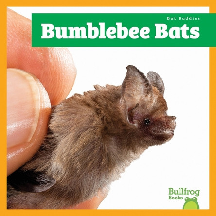 Bumblebee Bats by Jenna Lee Gleisner 9798896621904