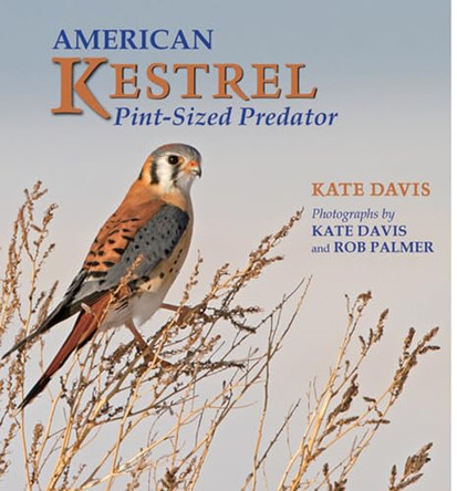 American Kestrel: Pint-Sized Predator by Kate Davis 9780878426362