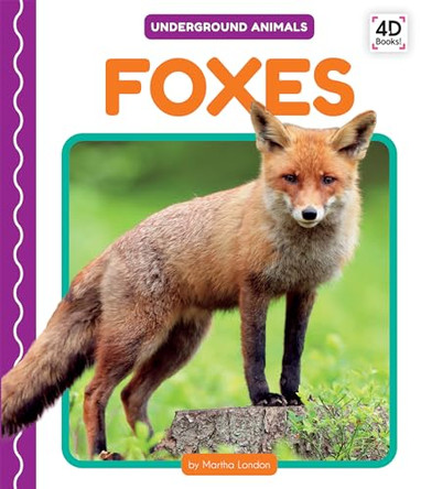Foxes by Martha London 9781532167614