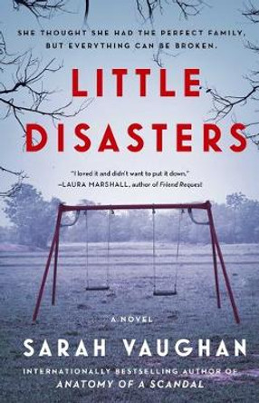 Little Disasters by Sarah Vaughan