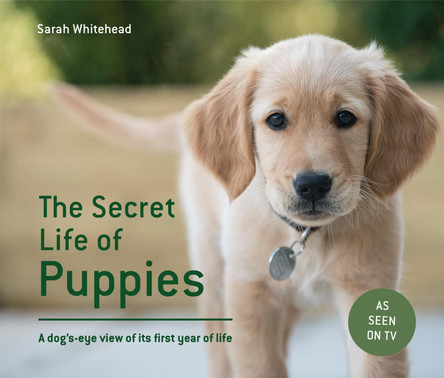 The Secret Life of Puppies: A dog's-eye view of its first year of life by Sarah Whitehead 9781911216414 [USED COPY]