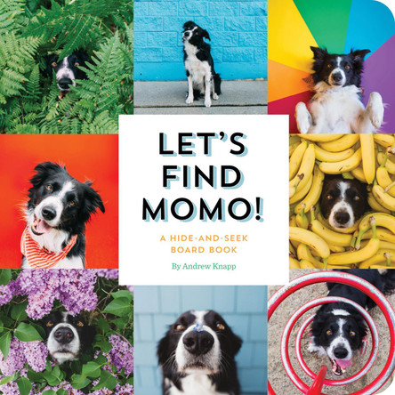 Let's Find Momo!: A Hide-and-Seek Board Book Andrew Knapp 9781594749582