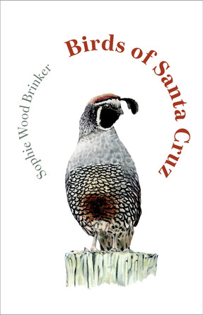 Birds of Santa Cruz by Sophie Wood Brinker 9781597147095