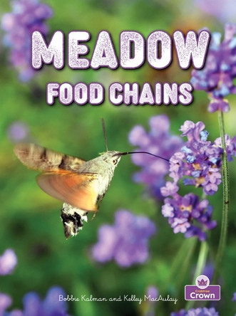 Meadow Food Chains by Kelley MacAulay 9781039872967