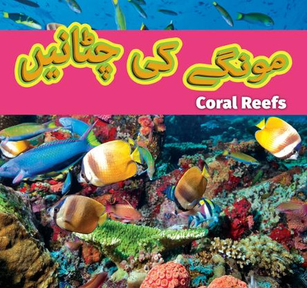 Coral Reefs (Urdu)/مونگے کی چٹانیں by Alexis Roumanis 9798874516833