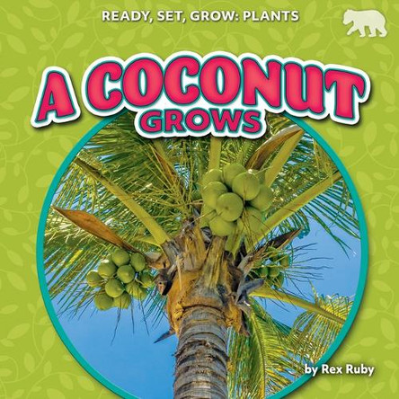 A Coconut Grows by Rex Ruby 9798892327237