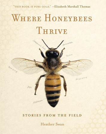 Where Honeybees Thrive: Stories from the Field by Heather Swan 9780271077413