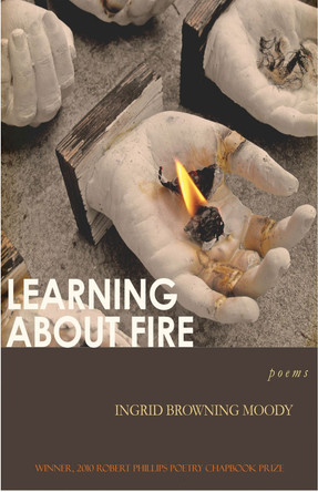Learning about Fire by Ingrid Browning Moody 9781933896687