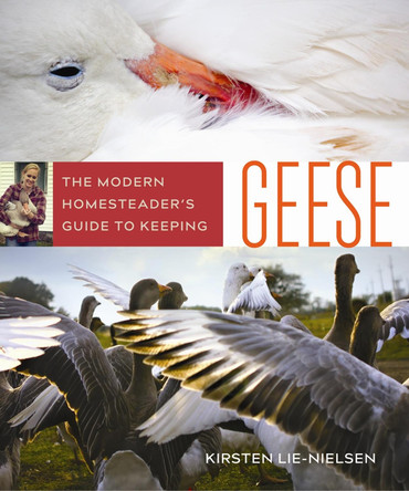 The Modern Homesteader's Guide to Keeping Geese by Kirsten Lie-Nielsen 9780865718616