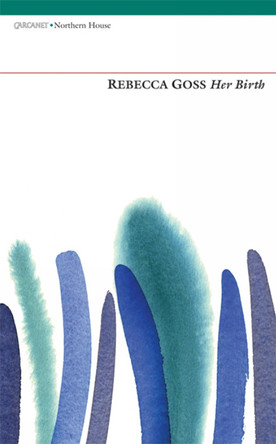 Her Birth by Rebecca Goss 9781847772381