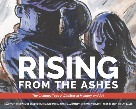 Rising from the Ashes: The Chimney Tops 2 Wildfires in Memory and Art by Stephen Lyn Bales 9781953291042