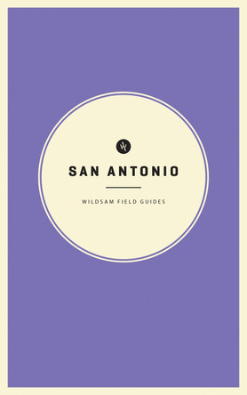 San Antonio by Taylor Bruce 9781495155369
