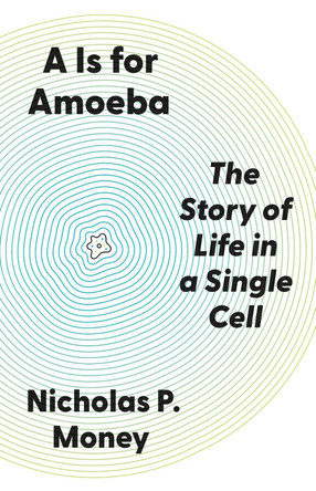 A Is for Amoeba: The Story of Life in a Single Cell by Nicholas P. Money 9780691266985
