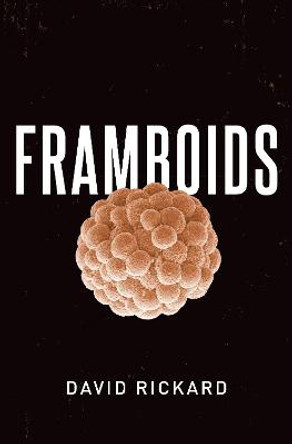 Framboids by David Rickard