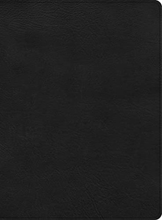 CSB Apologetics Study Bible, Black LeatherTouch by  9781087757988