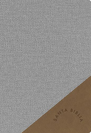 RVR 1960 Biblia Letra Súper Gigante edición 2023 gris 9781087782447