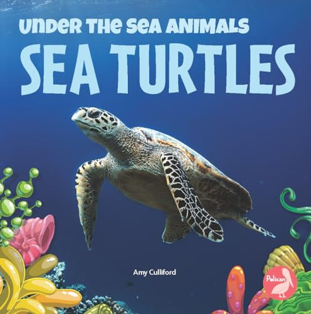 Sea Turtles by Amy Culliford 9781638971559