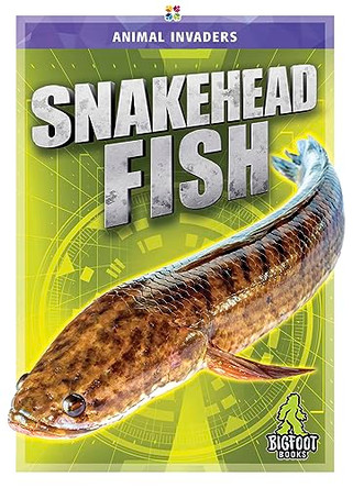 Snakehead Fish by Jody Jensen Shaffer 9781645195177