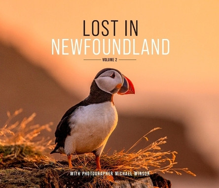 Lost in Newfoundland: Volume 2 by Michael Winsor 9781778530852