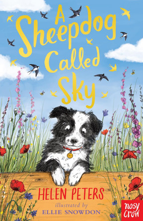A Sheepdog Called Sky by Helen Peters 9780857639110 [USED COPY]