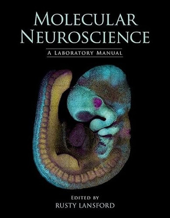 Molecular Neuroscience: A Laboratory Manual by Rusty Lansford 9781621820147