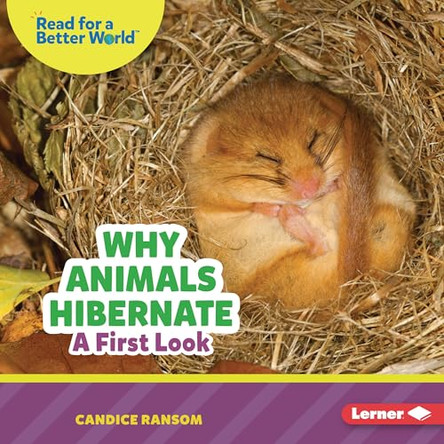 Why Animals Hibernate: A First Look by Candice Ransom 9798348039608