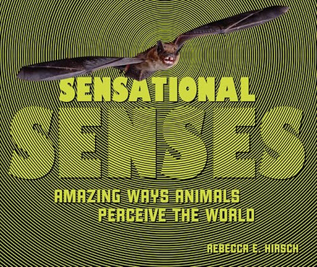 Sensational Senses: Amazing Ways Animals Perceive the World by Rebecca E Hirsch 9798348051471