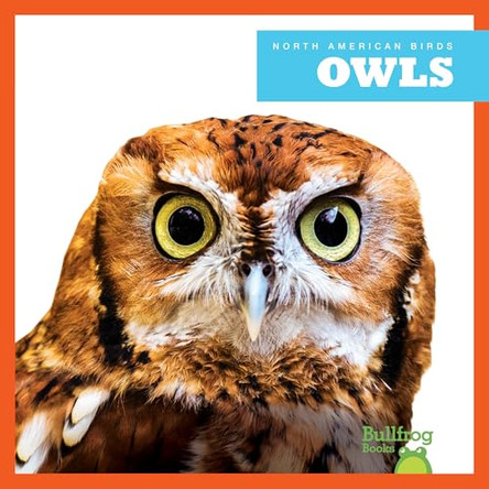 Owls by Rachel Grack 9798892131148