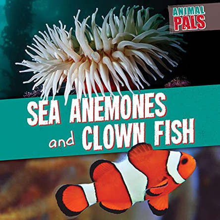 Sea Anemones and Clown Fish by Janey Levy 9781538266892